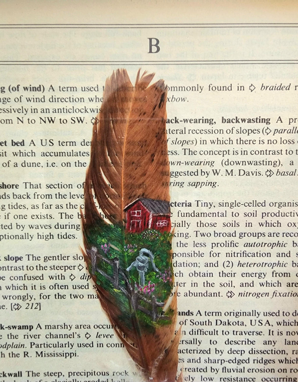 Shaw Farm Feather Art: Acrylic Painting on Feather