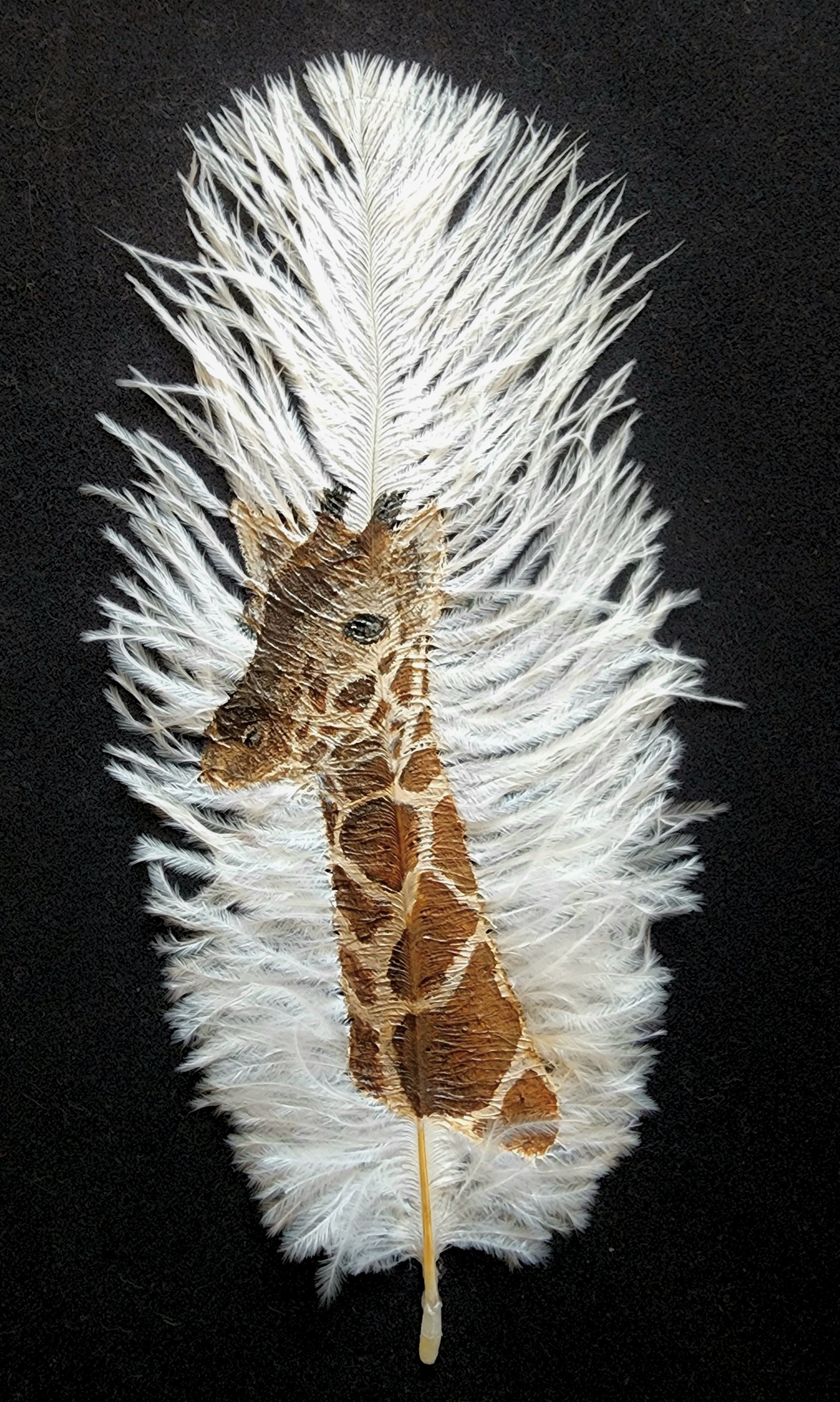 Custom Hand-Painted Feathers