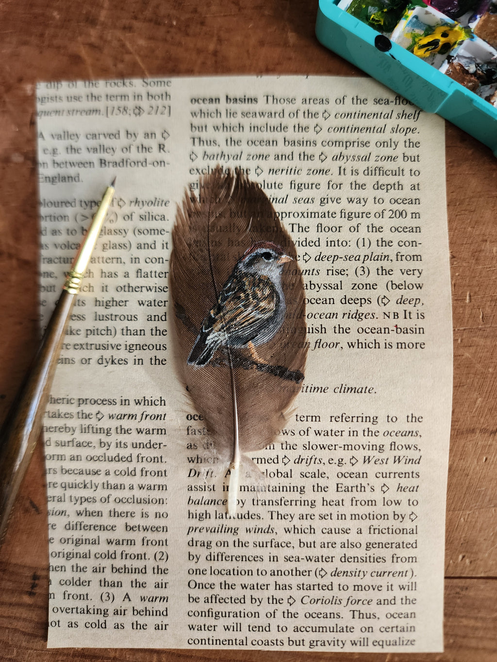 Custom Hand-Painted Feathers