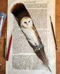 Custom Hand-Painted Feathers
