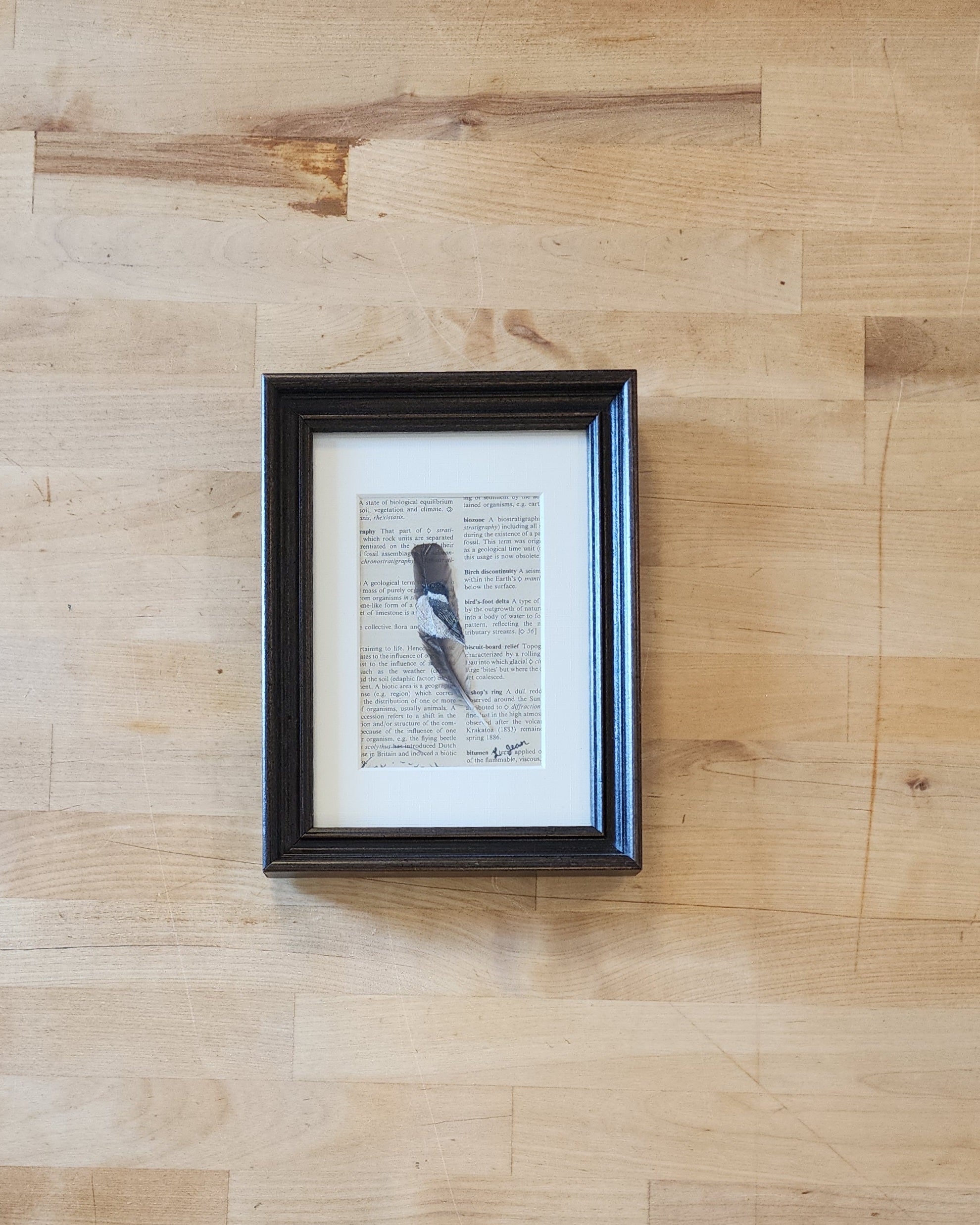 Chickadee