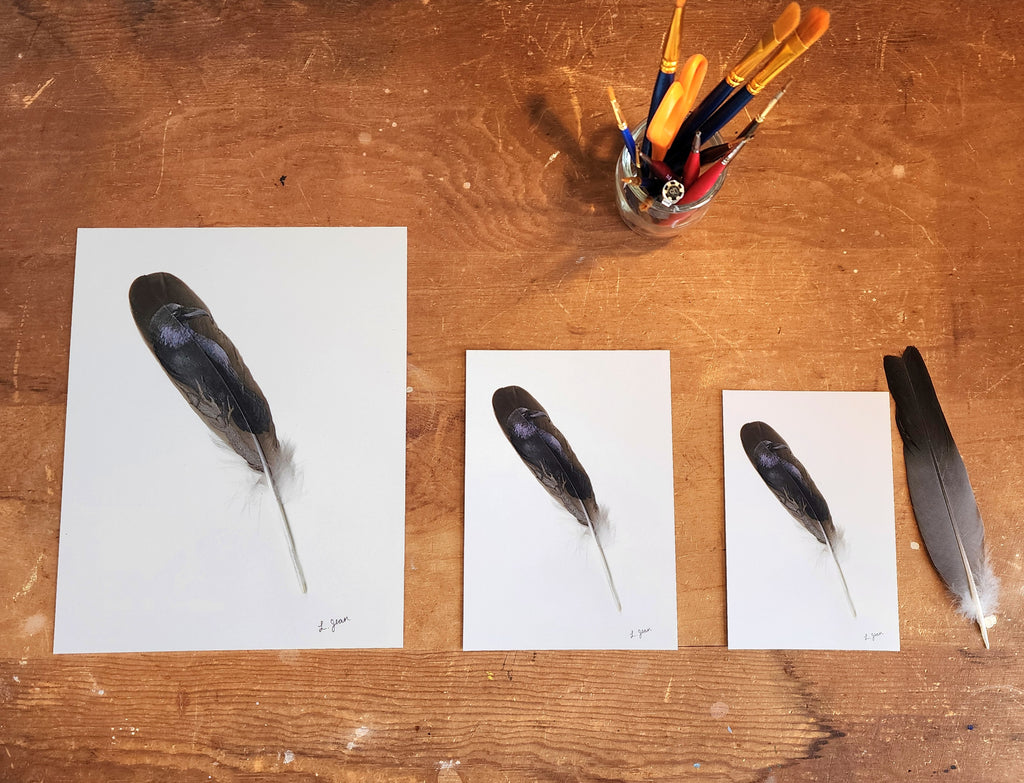 Feather Prints