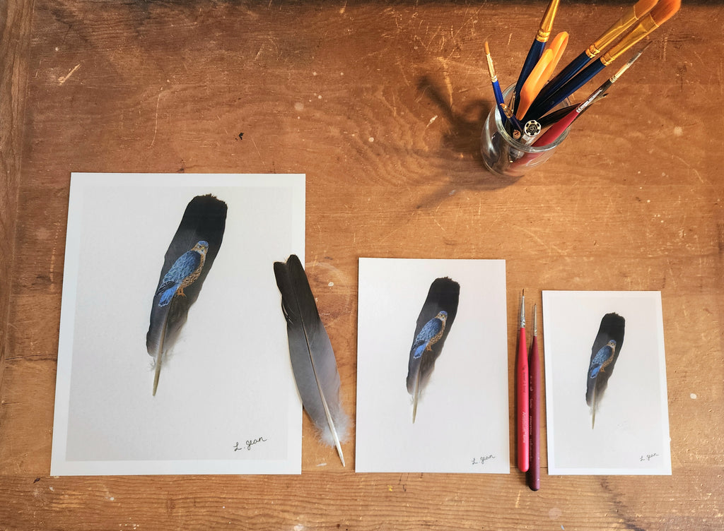 Feather Prints