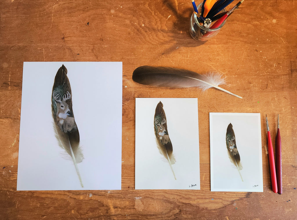 Feather Prints