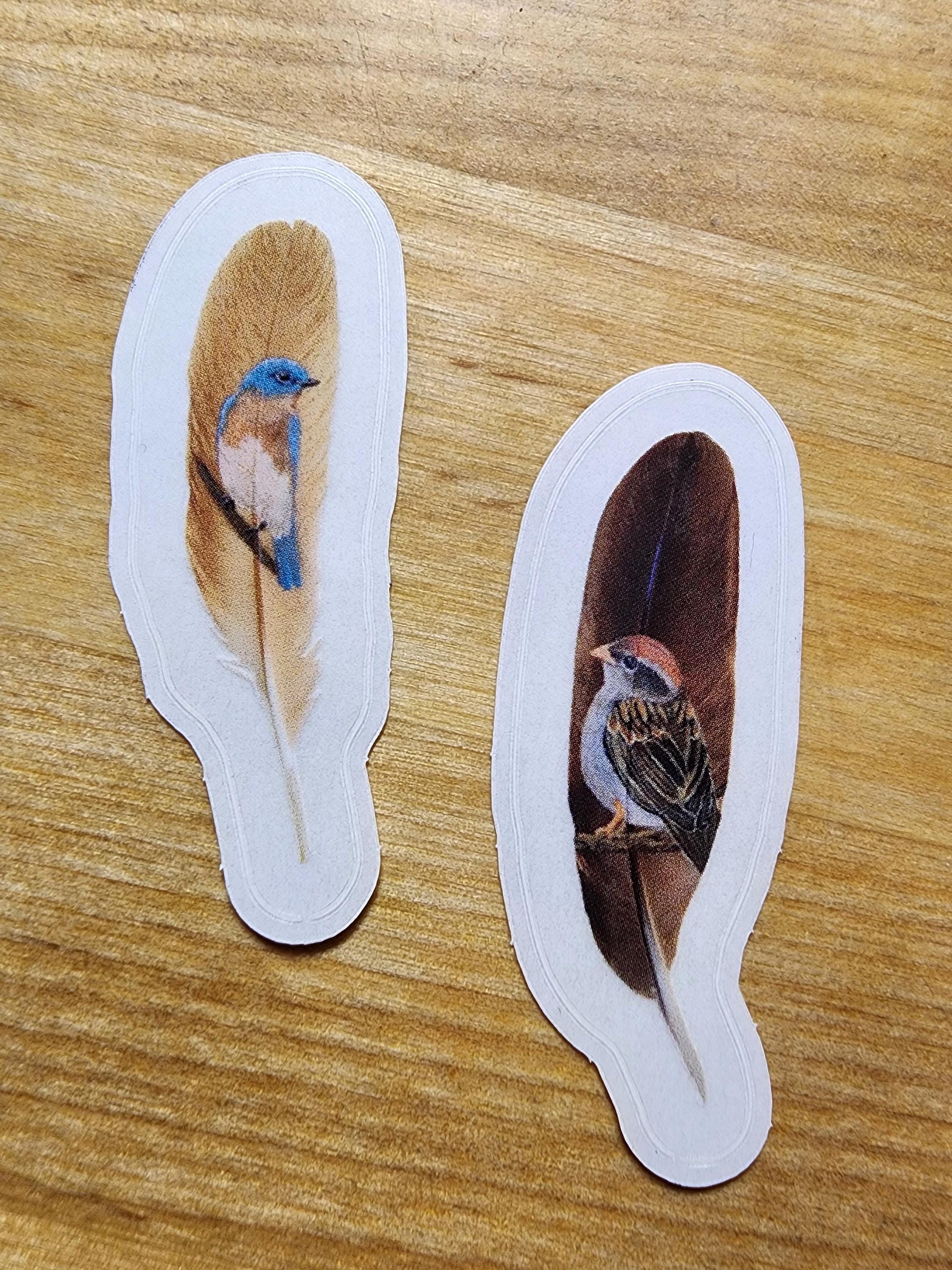 Bird Feather Sticker Collection