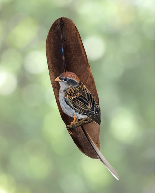 Bird Feather Sticker Collection
