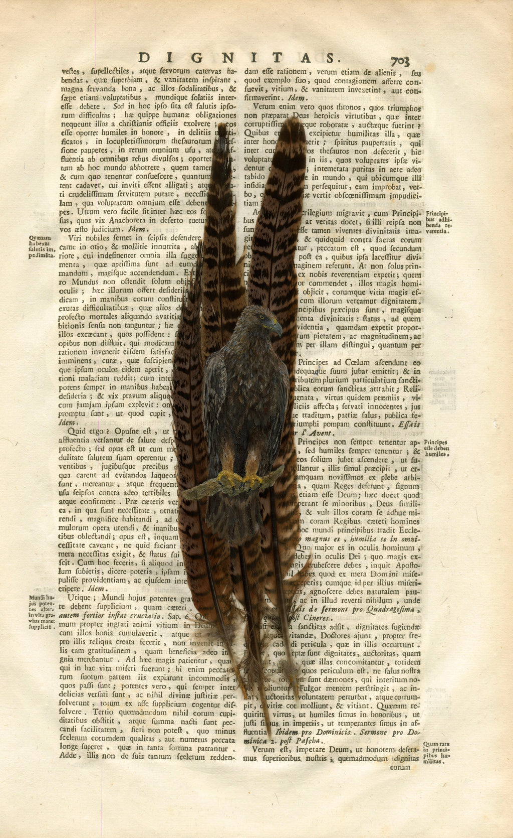 Custom Hand-Painted Feathers