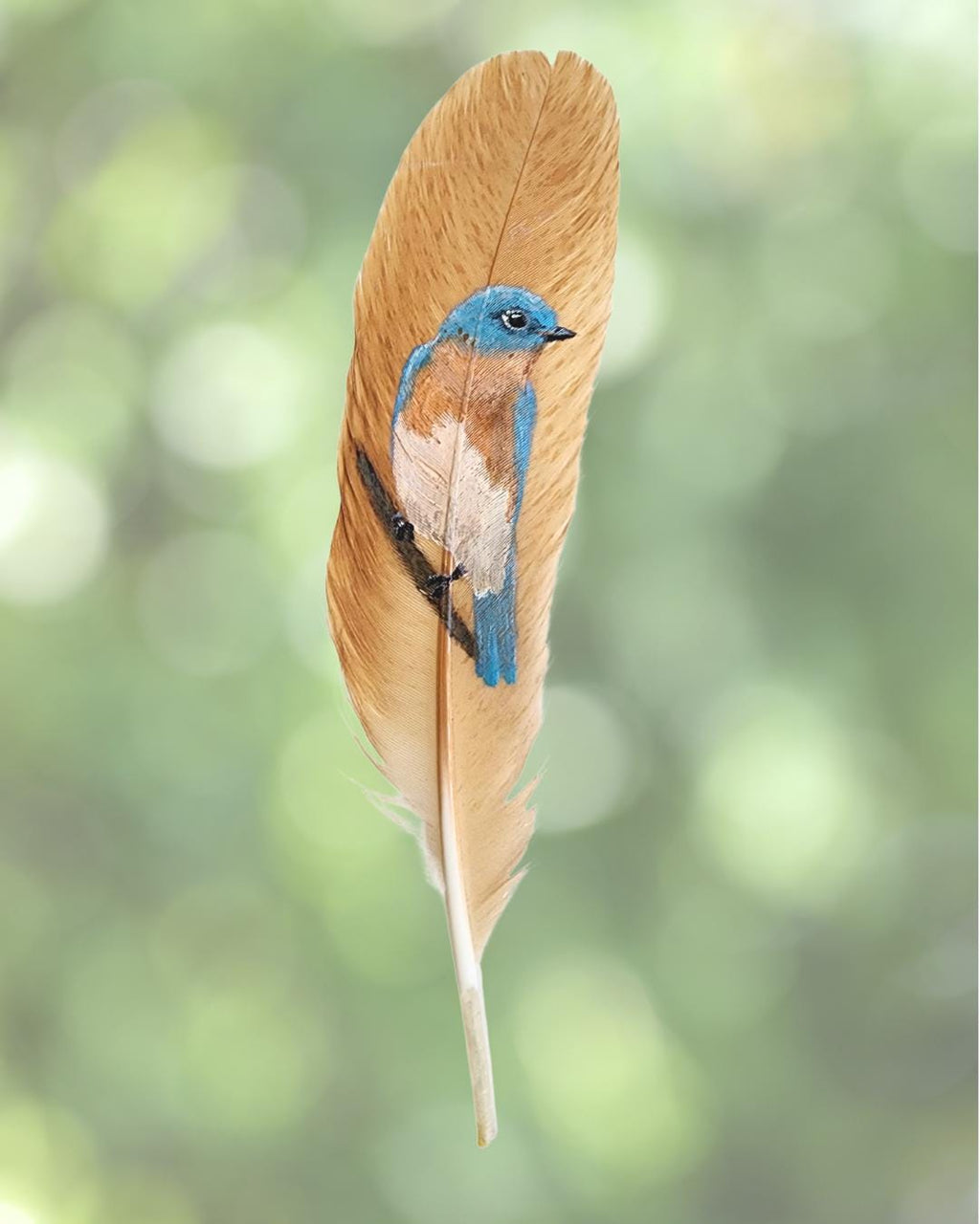 Bird Feather Sticker Collection