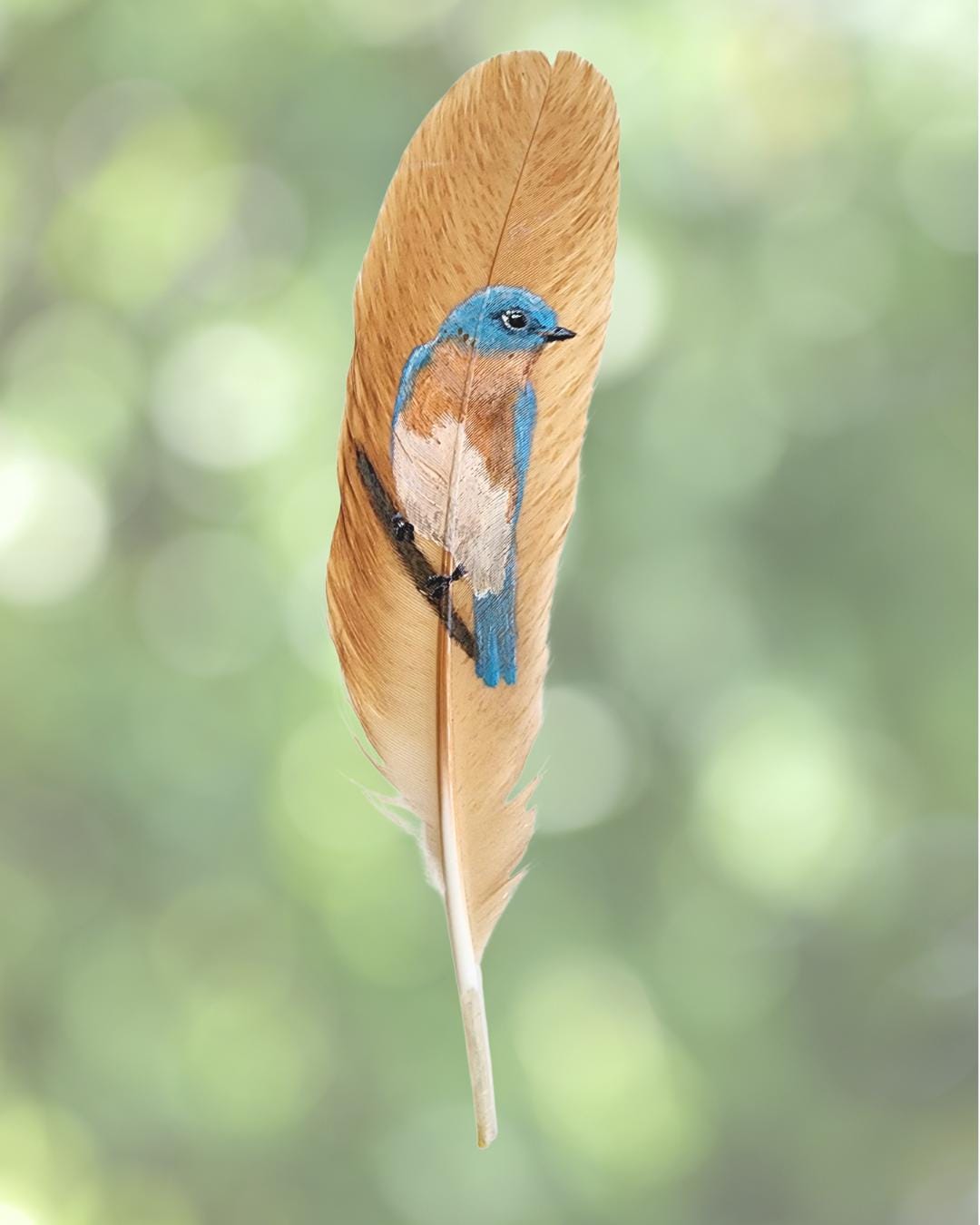 Bird Feather Sticker Collection