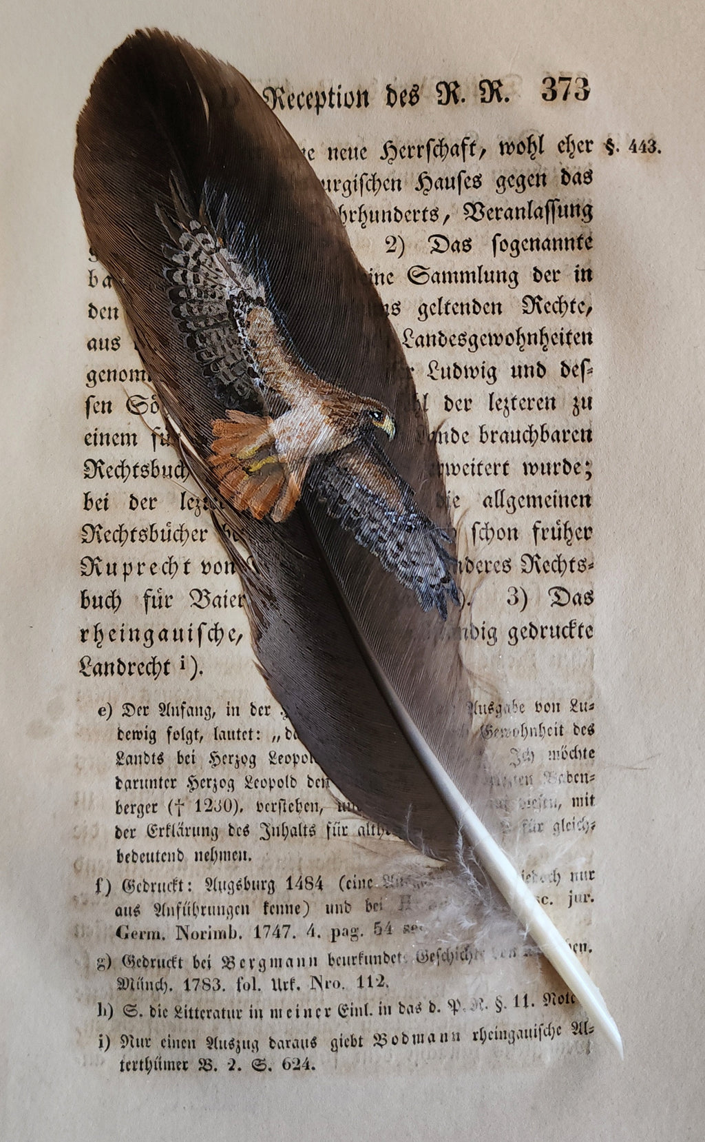 Custom Hand-Painted Feathers