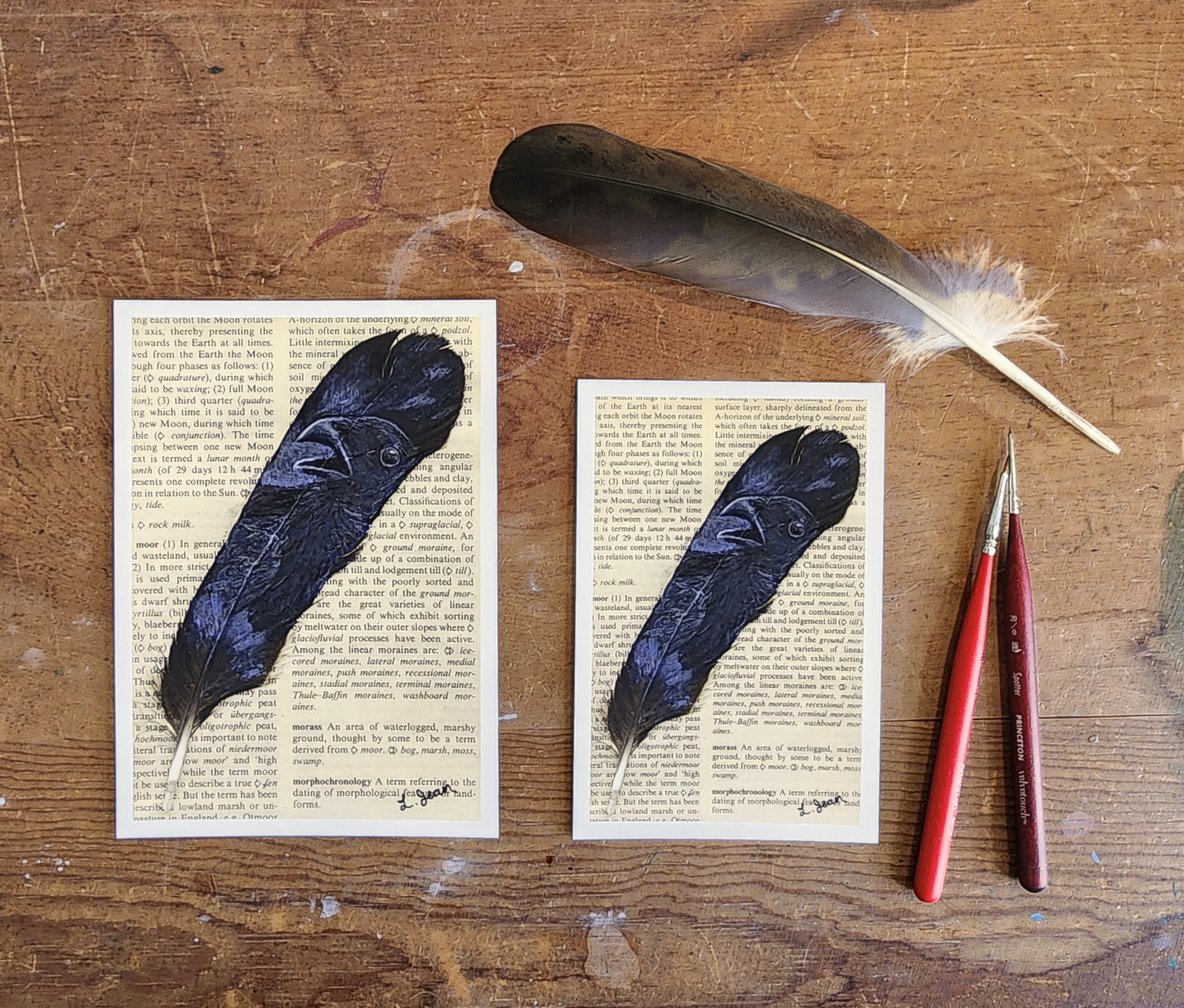 Feather Prints