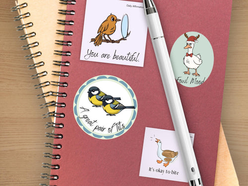 Doodle Bird Sticker Collection
