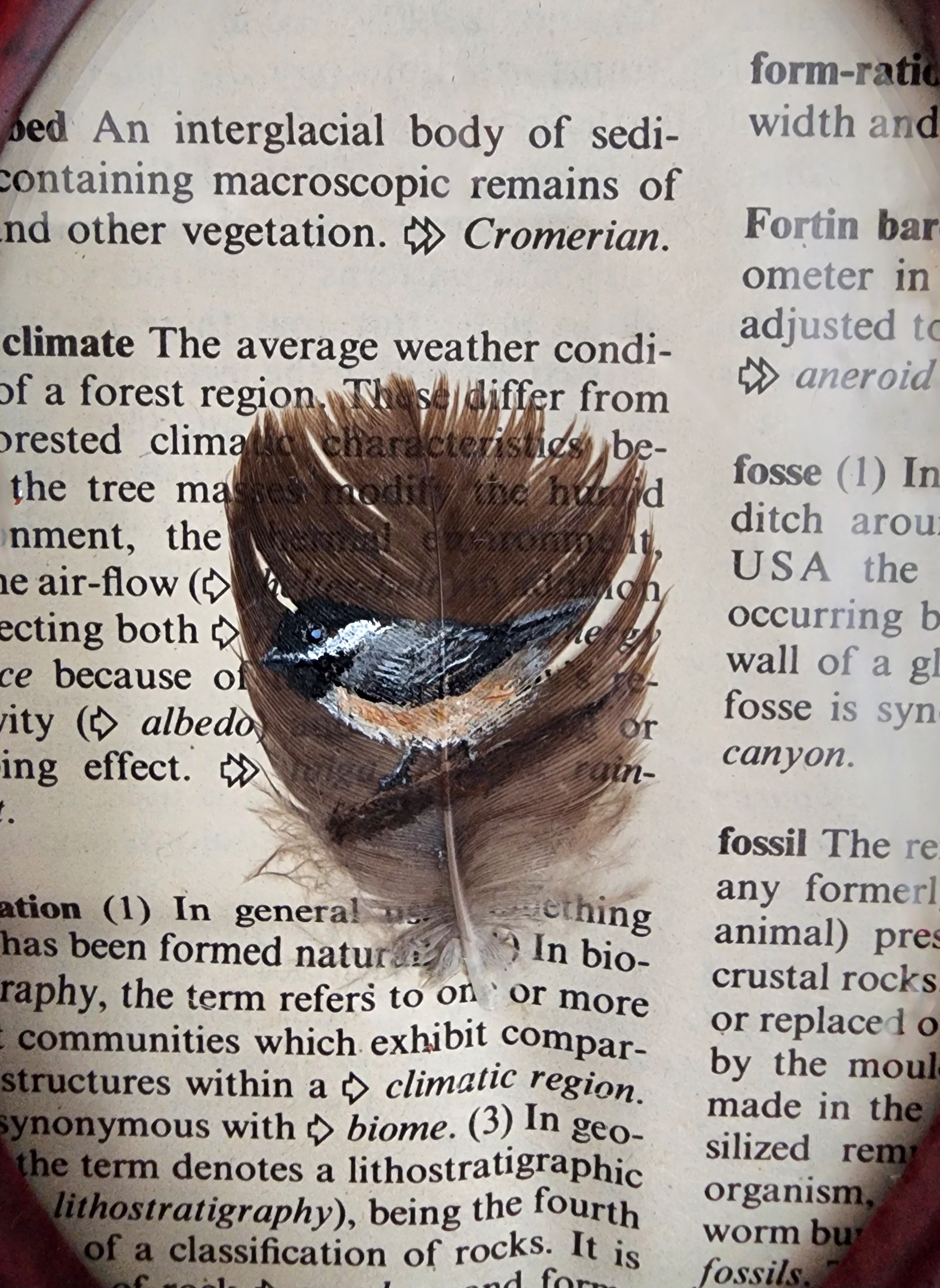 Chickadee-Doo-Da