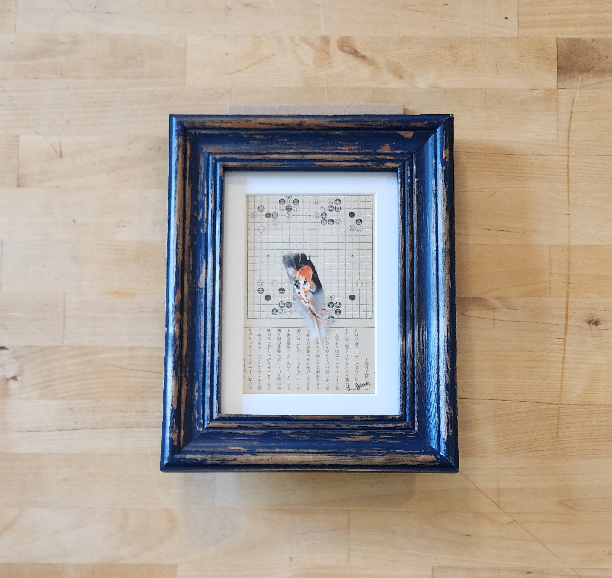 Koi