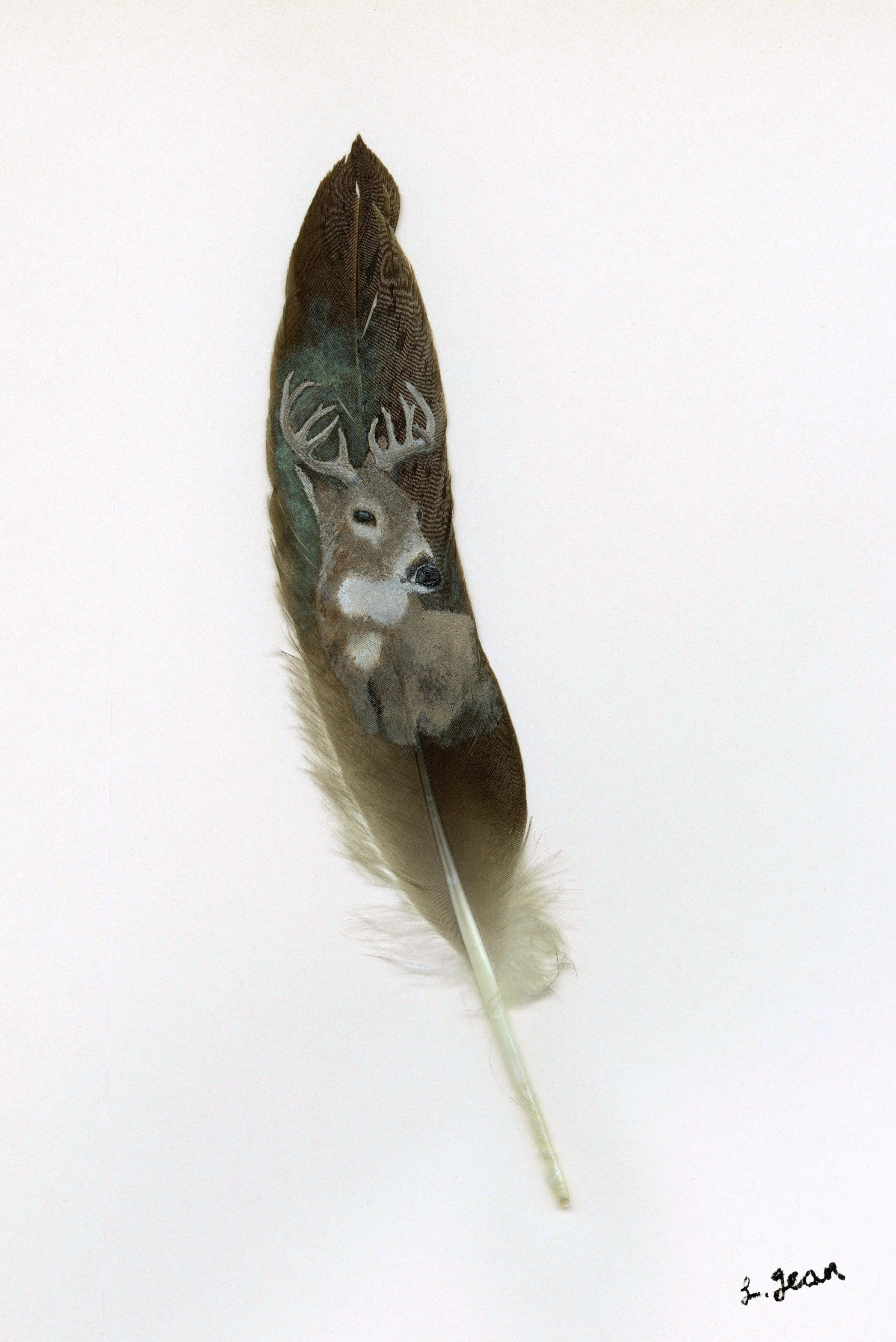 Feather Prints