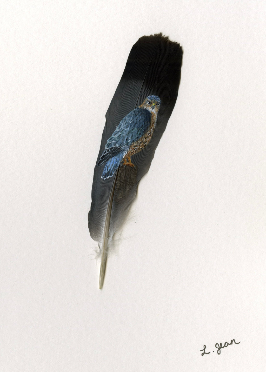 Feather Prints