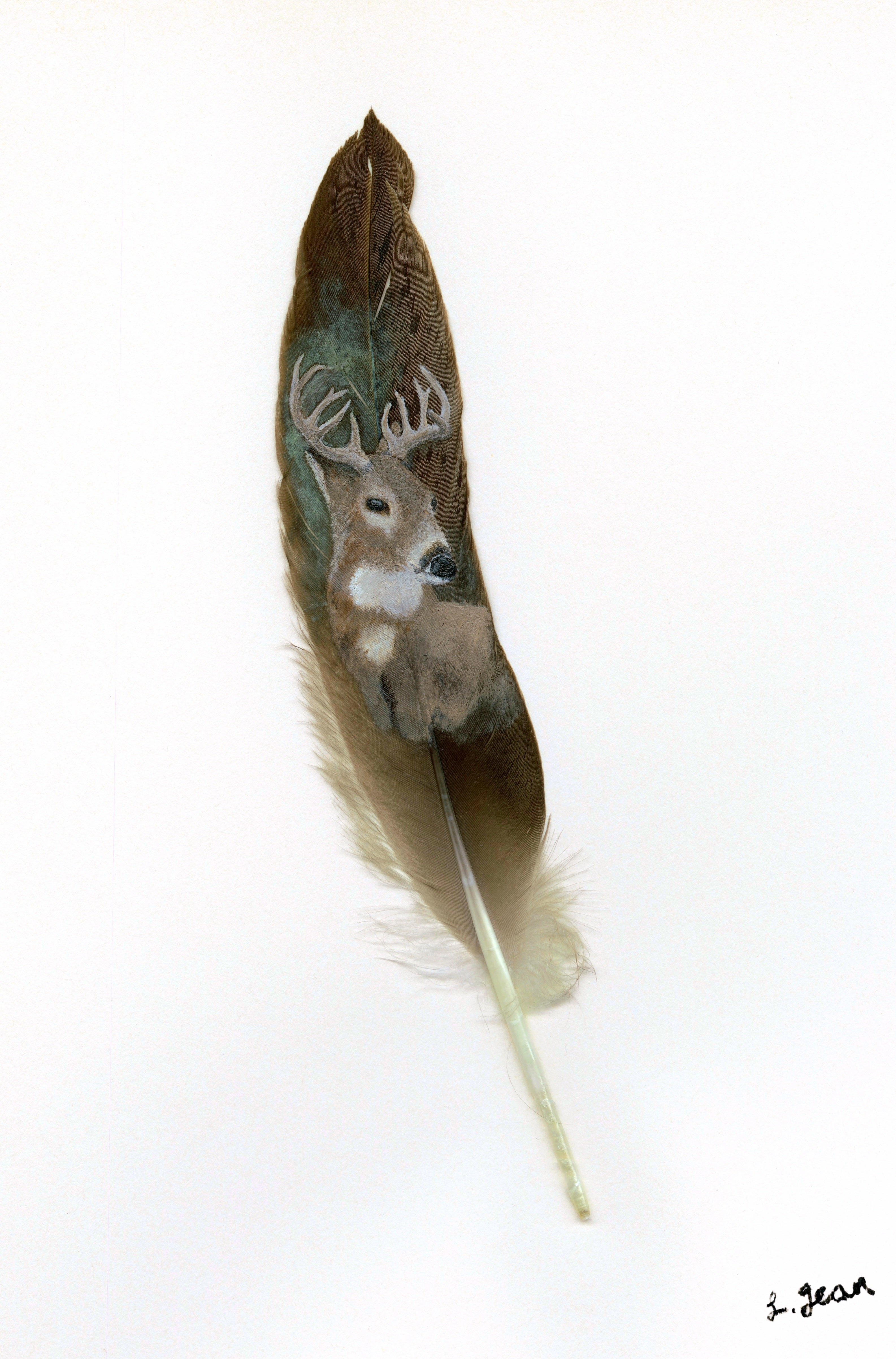 Oh Deer