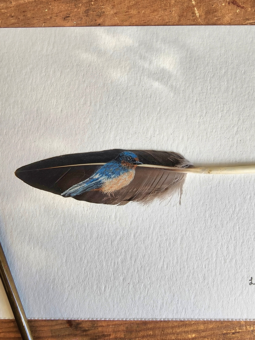 Swallow Tail