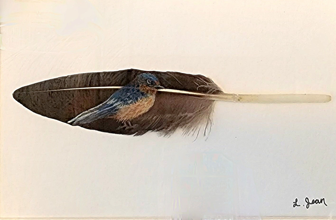 Swallow Tail