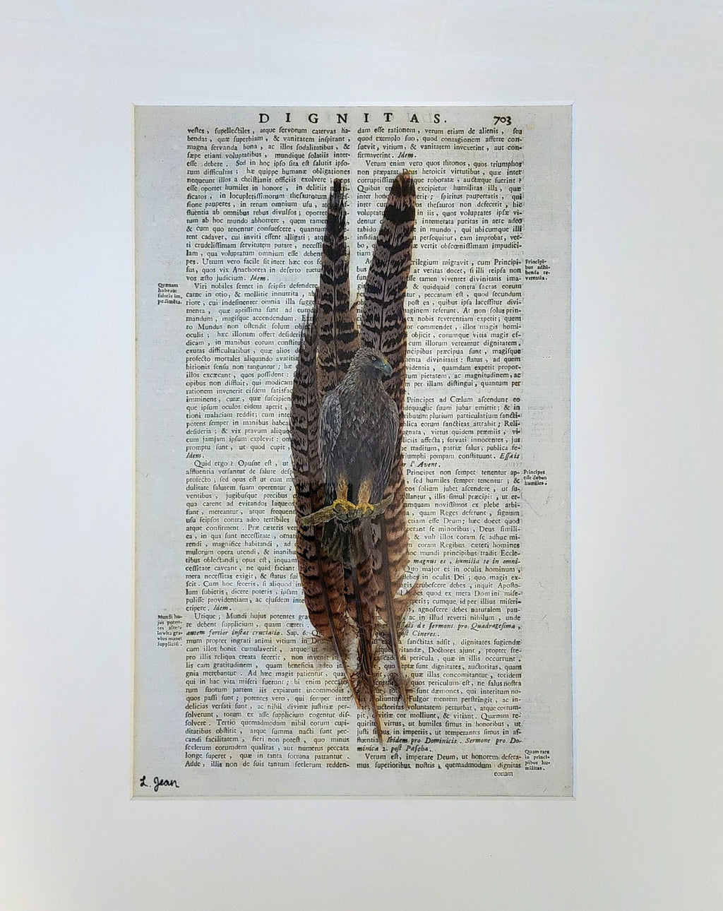 Eagle Eye