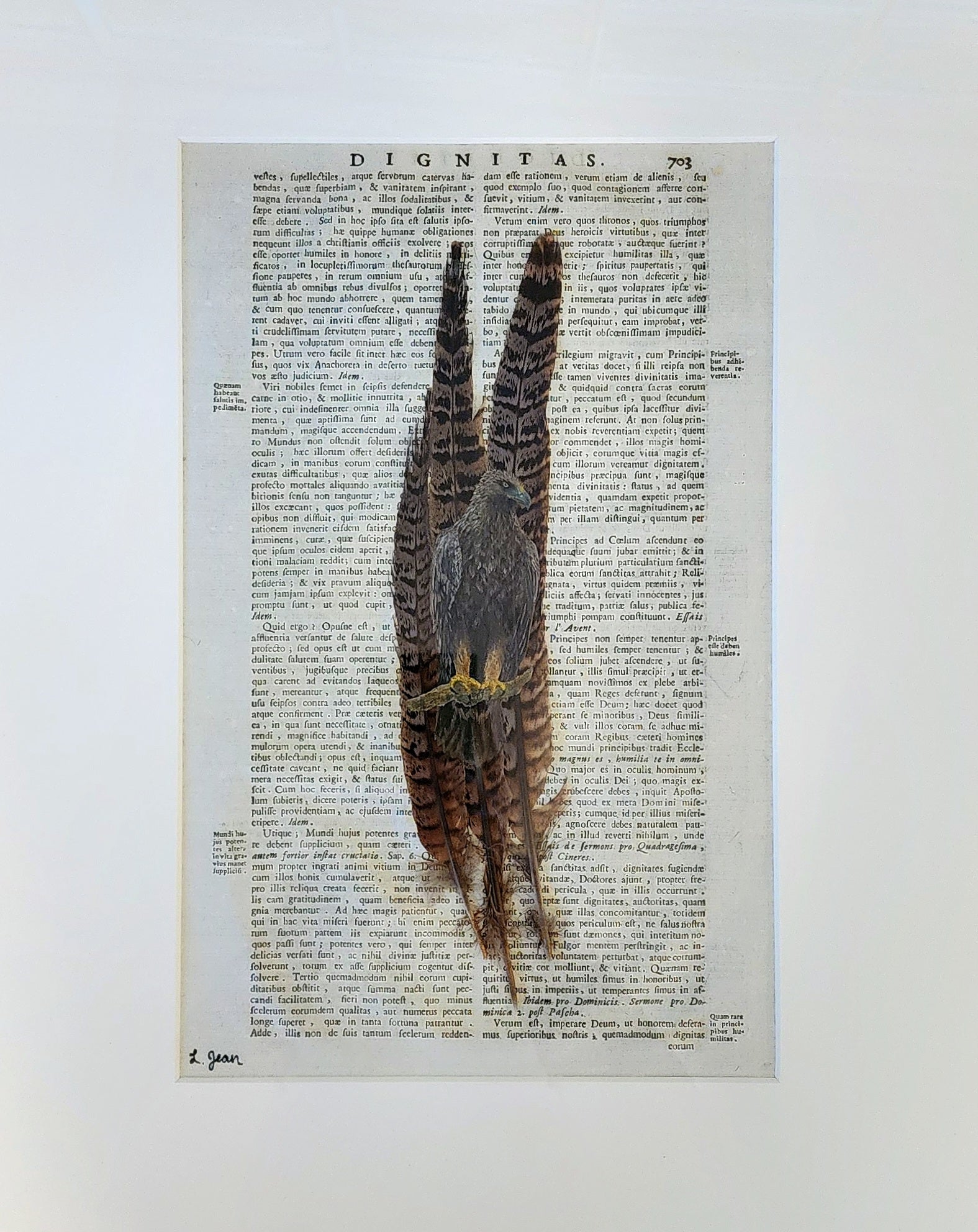 Eagle Eye