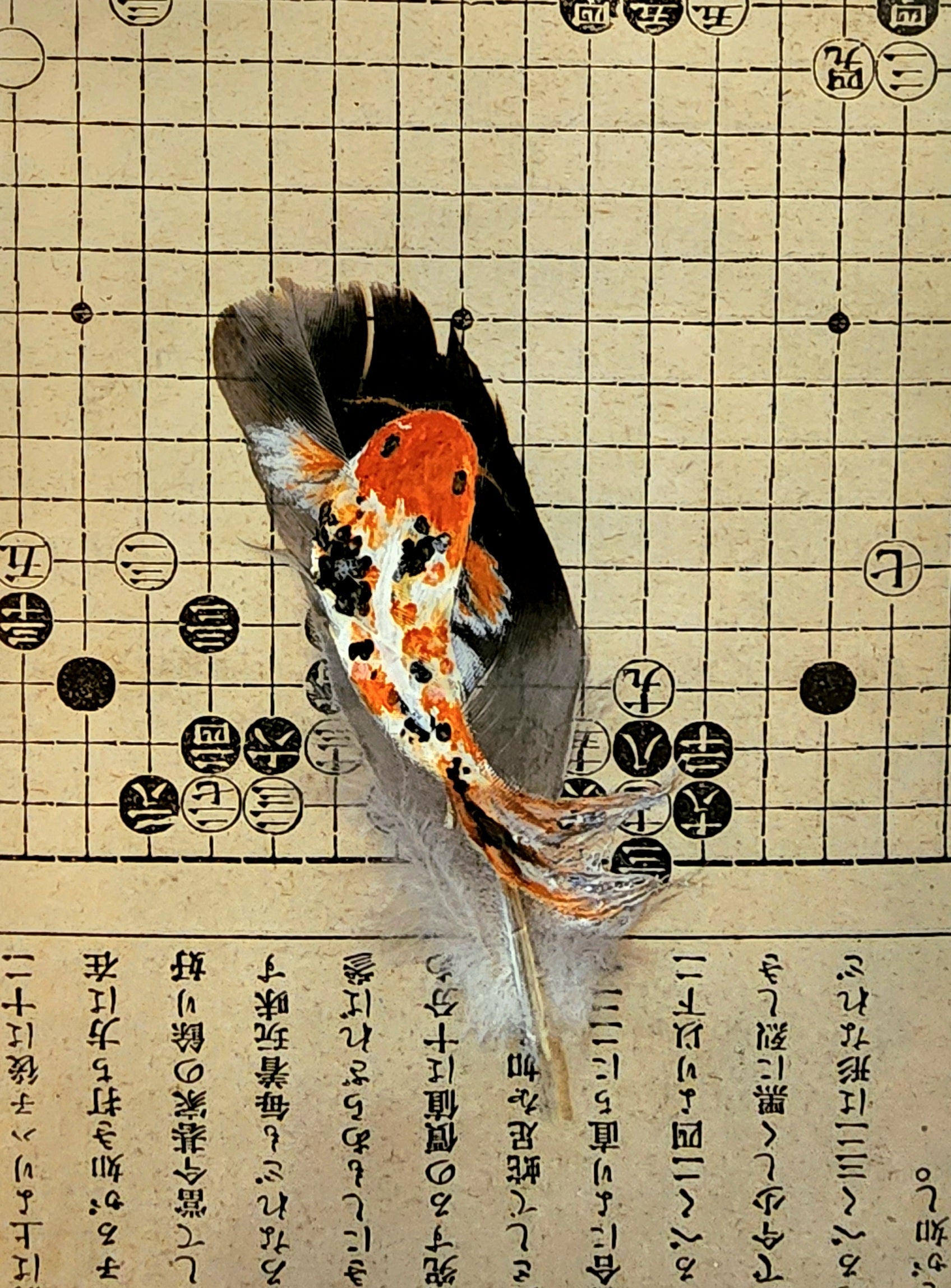 Koi